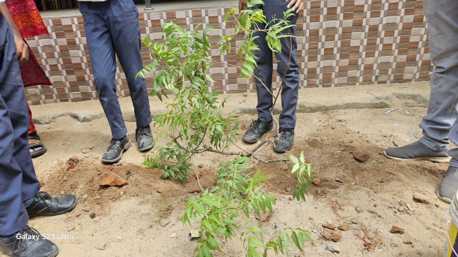 TREE PLANTING INITIATIVE BY ECO-FRIENDLY